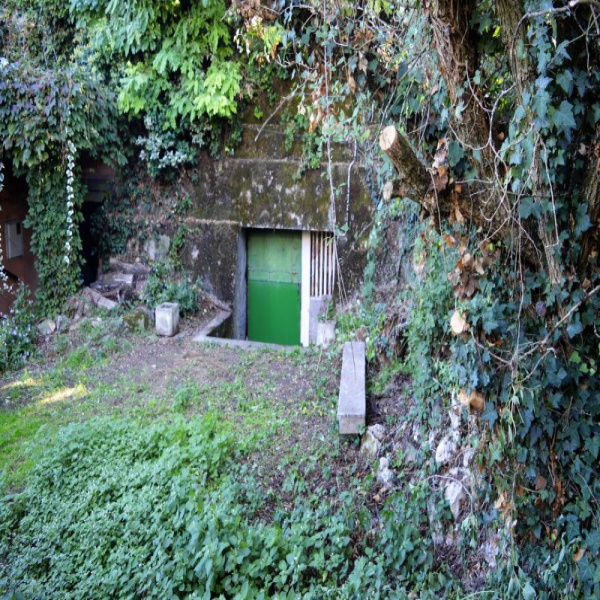 Offres de vente Cave Montlouis-sur-Loire 37270