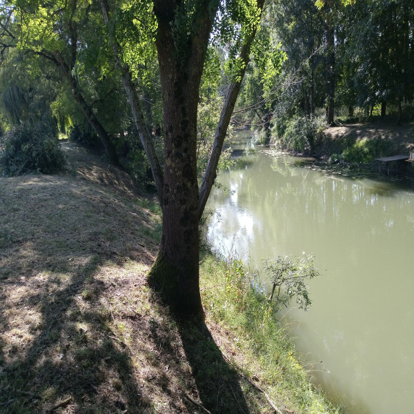 Offres de vente Terrain Vouvray 37210